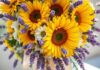 Brautstrauß mit Sommerblumen – Inspiration für Ihre Hochzeit Brautstrauß Sommerblumen